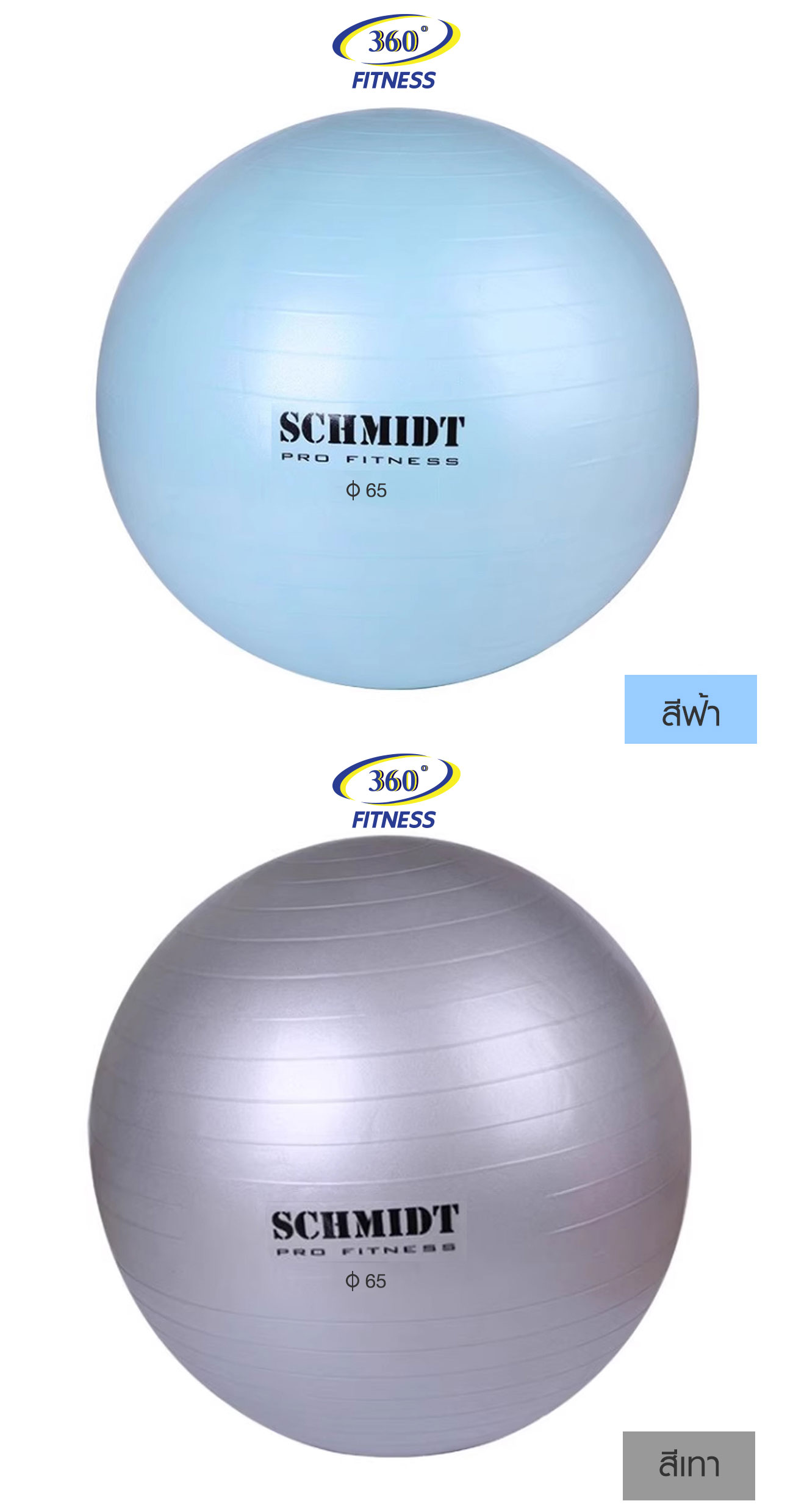 โยคะบอล รุ่น GB08 65 cm.