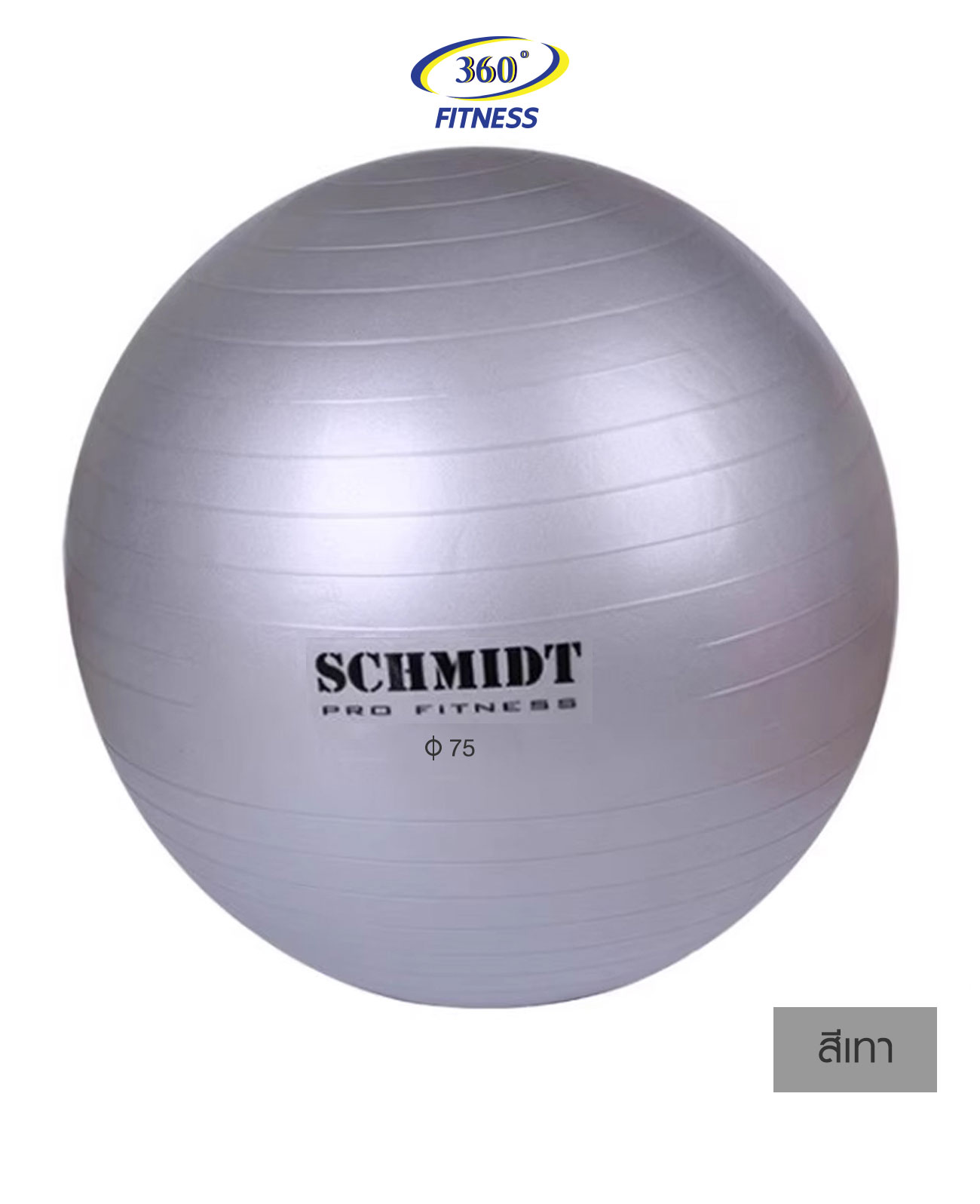โยคะบอล รุ่น GB08 65 cm.